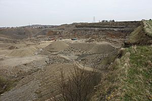 Bolton Woods Quarry - geograph.org.uk - 1230247