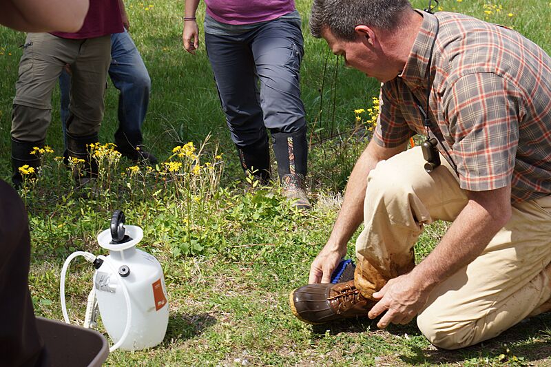 Boot cleaning (6921518442)