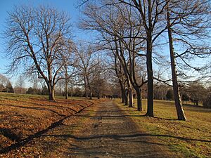 Brewer Road at Worlds End, January 2017