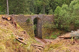 Bridge on the old military road in Ratagan Forest (geograph 2399400)
