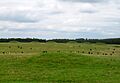 Bronze Age Barrows - geograph.org.uk - 1448193