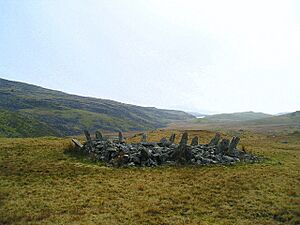 Bryn Cader Faner - geograph.org.uk - 476216