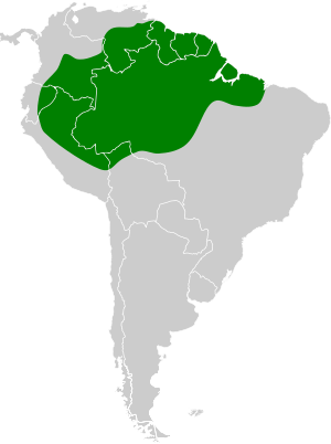 Bucco capensis map.svg