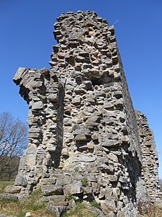 Caergwrle Castle (18)
