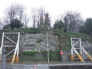 Cardigan Castle, 1000 years of history - geograph.org.uk - 293966