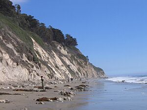 Cliffs at Arroyo Burro Beach Park