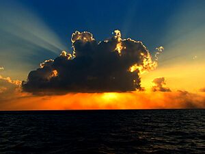 Cloud in the sunlight