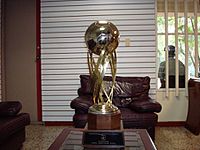 Copa campeon 2001