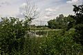 Cornard Mere - geograph.org.uk - 859971