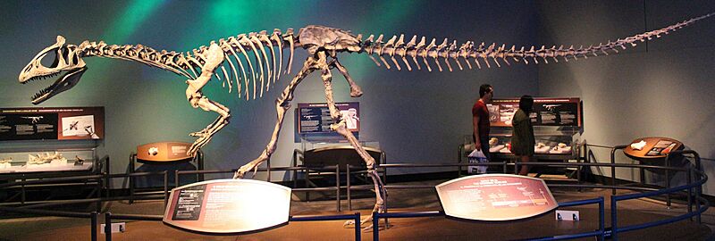 Cryolophosaurus skeleton mount FMNH