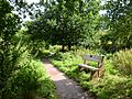 Donington and Albrighton Nature Reserve 02
