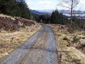 Dunoon, Tom Odhar-Bishops Glen Track - geograph.org.uk - 150118