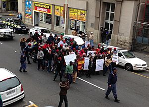 EFF land march on Mandela Day 2014