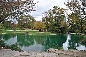 Eden Park View 2