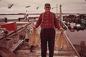 Fisherman at Malloch Beach, Campobello Island, New Brunswick, Canada, 1973