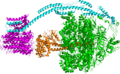 Fo subunit of ATPase C1. Picture Created in PyMol 