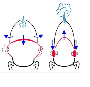 Forceful exhalation