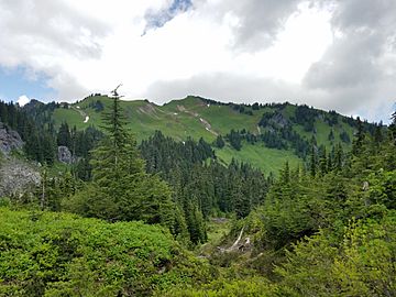 Green mountain from trail.jpg