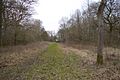Ham Home Wood 6
