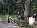 Hartsdale Pet Cemetery October 2012