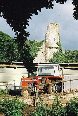 Holditch, tower in the farmyard - geograph.org.uk - 513032