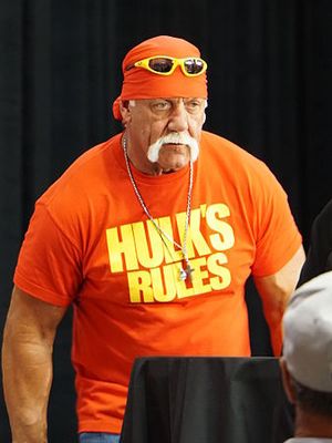 Hulk Hogan 2015 cropped
