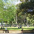 Hyde Park South, Sydney - Art installation - 2013