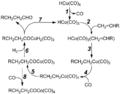 Hydroformylation Mechanism V.1