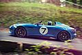 Jaguar - Project 7 (9281137467)