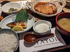 Japanese meal at yayoi