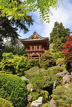Japanese tea garden Golden Gate Park.JPG