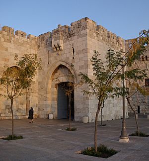 Jerusalem Jaffa Gate BW 1