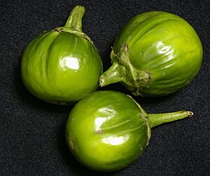 JiloDSC6811