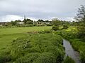 Kingsthorpe meadow - geograph.org.uk - 762717