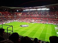 Match Portugal x Serbie 2019-03-25 Stade Luz Lisbonne 2.jpg
