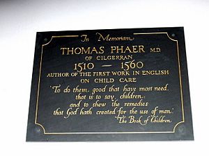 Memorial to Thomas Phaer of Cilgerran - geograph.org.uk - 1385106