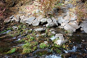 Mount Shasta Big Springs - Mount Shasta City Park - Mount Shasta City, California - DSC02772