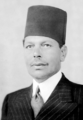 Muhammad Mahmoud Pasha