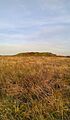 One of the Wambarrows, Winsford Hill