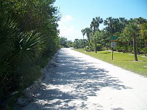 Orchid FL Jungle Trail01