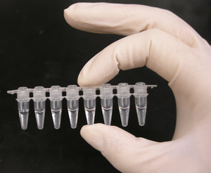 PCR tubes