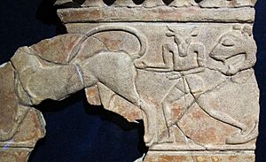 Parte di fregio con minotauro e felini, 600-550 ac ca., da regia, foro romano (antiquarium del foro) 02