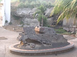 Peace park tank krk
