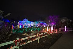 Phipps Conservatory winter 2015 Discovery Garden