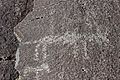 Picture Rock Pass Petroglyphs 04
