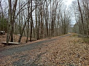 Pine Acres Lake View Trail intersection with Airline Trail northeast of Black Spruce Pond in Hampton, CT..jpg
