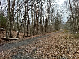 Pine Acres Lake View Trail intersection with Airline Trail northeast of Black Spruce Pond in Hampton, CT.