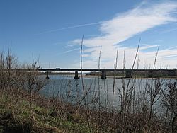 Po river near Cremona.jpg
