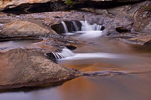 Potholes reserve - Tahmoor