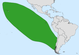 Pterodroma externa range.svg